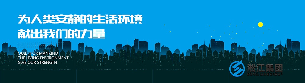 济南市南康泵站段扩建工程配套DN250柔性橡胶接头