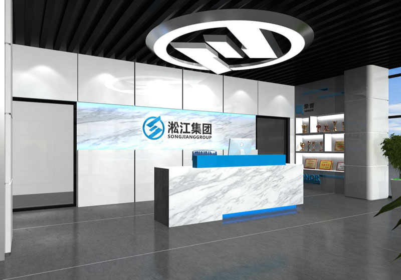 净水厂自动增压泵氯丁橡胶KST-F双球防震接头