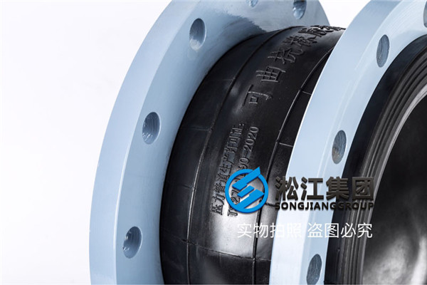 中信天嘉湖给水EPDM，DN250橡胶弹性软接头